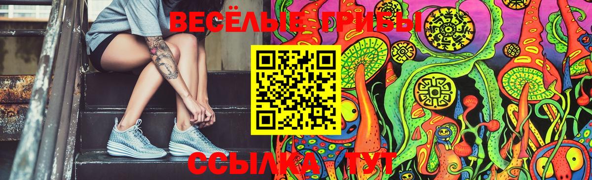 Галлюциногенные грибы Magic Shrooms Химки